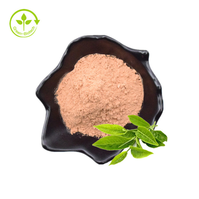Mua bột chiết xuất trà xanh chất lượng tiêu chuẩn được sản xuất hữu cơ để bán bởi các nhà xuất khẩu Ấn Độ với giá thấp