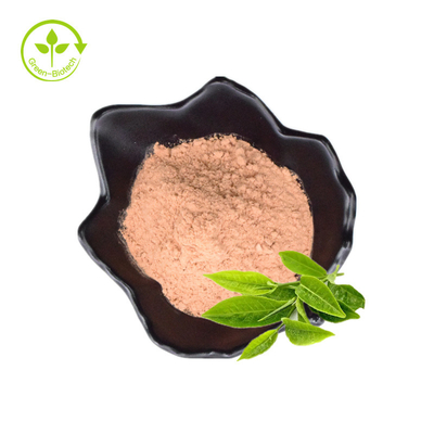 Mua bột chiết xuất trà xanh chất lượng tiêu chuẩn được sản xuất hữu cơ để bán bởi các nhà xuất khẩu Ấn Độ với giá thấp