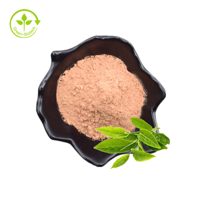 Bán buôn số lượng lớn 98% bột chiết xuất trà xanh Polyphenol trà xanh