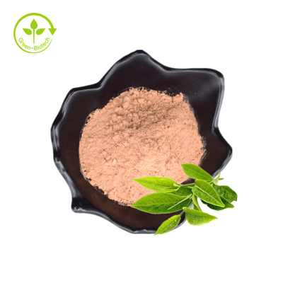 Bán buôn số lượng lớn 98% bột chiết xuất trà xanh Polyphenol trà xanh