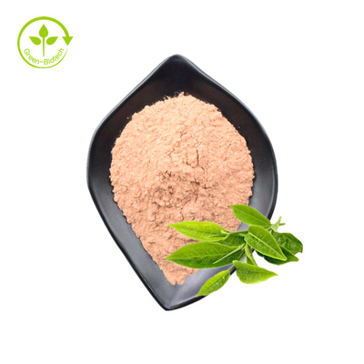 Chiết xuất trà xanh Polyphenol 50% 98% bột chiết xuất trà xanh