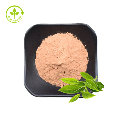 Bán buôn số lượng lớn bột chiết xuất trà xanh Chiết xuất trà xanh Polyphenol 50% bột màu nâu
