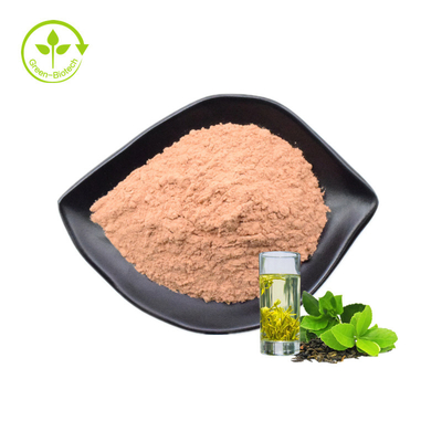 Chiết xuất trà xanh chất lượng cao 45% bột EGCG Chiết xuất trà xanh
