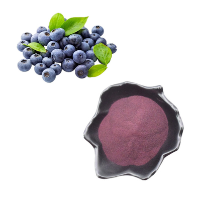 Bột chiết xuất việt quất tự nhiên / Anthocyanin việt quất