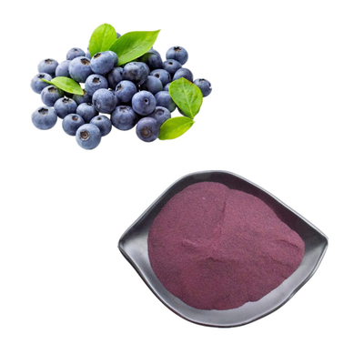 Chất chiết xuất thực vật Bột việt quất 25% Chất chiết xuất anthocyanin