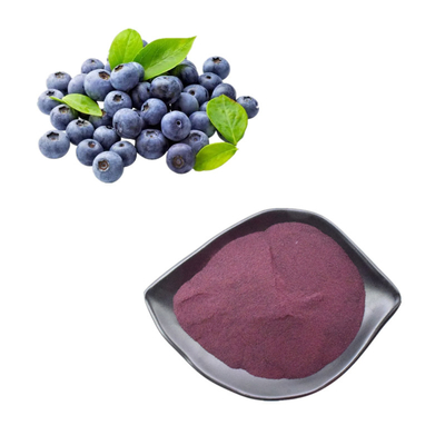 Chất chiết xuất thực vật Bột việt quất 25% Chất chiết xuất anthocyanin