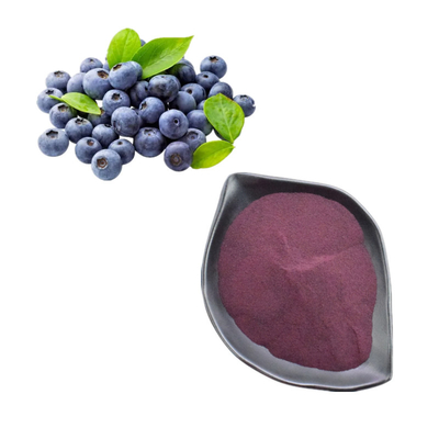 Chất chiết xuất quả việt quất tự nhiên tinh khiết 25% Anthocyanin Bilberry Extract Powder