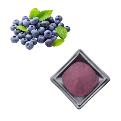 Chất chiết xuất quả việt quất hoang dã bột Anthocyanin Bột việt quất 1 kg
