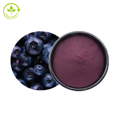 Anthocyanin 25% Bột việt quất Nhựa thực vật tự nhiên bột