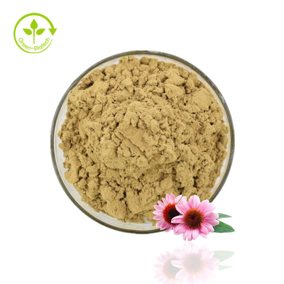 Bột chiết xuất Echinacea chất lượng cao Chiết xuất Echinacea Purpurea 4% bột Polyphenol