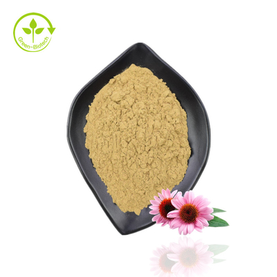Chiết xuất Echinacea chất lượng hàng đầu Bột chiết xuất Echinacea hữu cơ Purpurea