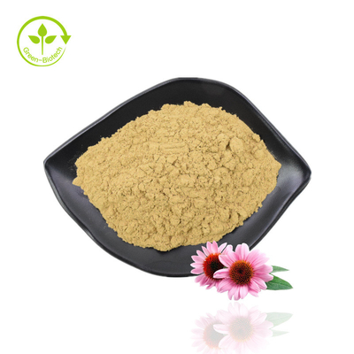 Chiết xuất thảo mộc Echinacea Chiết xuất Echinacea Purpurea Chiết xuất Polyphenol Echinacea