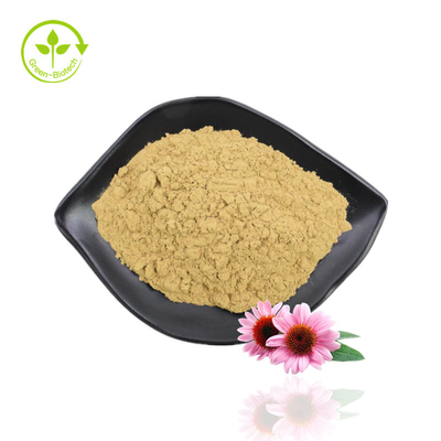 Chiết xuất thảo mộc Echinacea Chiết xuất Echinacea Purpurea Chiết xuất Polyphenol Echinacea