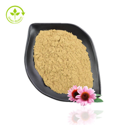 Bột chiết xuất Echinacea Purpurea có độ tinh khiết cao 10% -40% Echinacoside