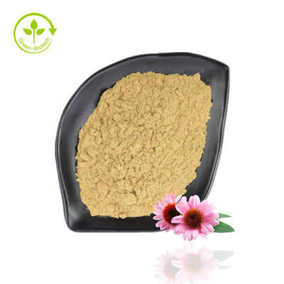 Bán chạy Chiết xuất Echinacea Purpurea 4% -6% Polyphenol 2% -4% Bột Echinacea tự nhiên