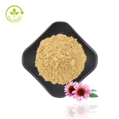 Polyphenol tự nhiên 4% Axit xichoric 1% 4% Chiết xuất Echinacea Purpurea