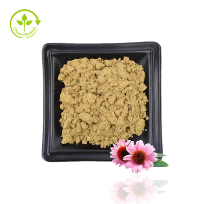 Cung cấp Chiết xuất Echinacea Purpurea Chiết xuất Echinacea Chiết xuất hoa Echinacea Purpurea tự nhiên 4% Polyphenol