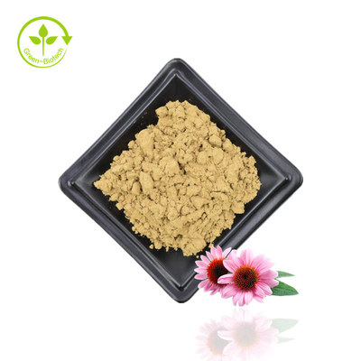 Cung cấp Chiết xuất Echinacea Purpurea Chiết xuất Echinacea Chiết xuất hoa Echinacea Purpurea tự nhiên 4% Polyphenol