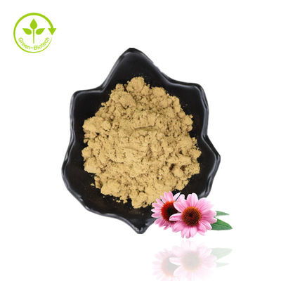 Chiết xuất Echinacea Purpurea tự nhiên / Bột chiết xuất Echinacea