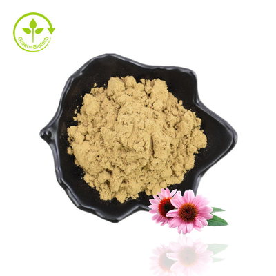 Nhà sản xuất gốc Cung cấp thực phẩm chất lượng tốt Chất chiết xuất từ ​​​​rễ cây Echinacea Purpurea