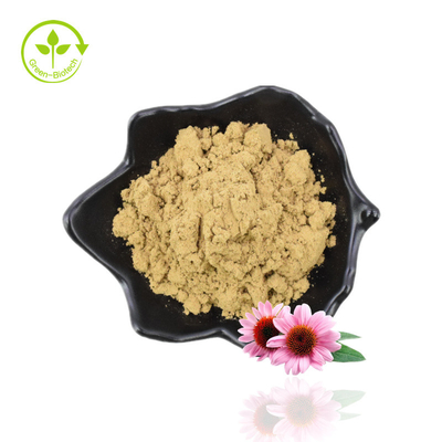 Nhà sản xuất gốc Cung cấp thực phẩm chất lượng tốt Chất chiết xuất từ ​​​​rễ cây Echinacea Purpurea