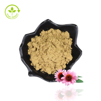 Số lượng lớn 4% Polyphenol Echinacea Purpurea Extract Powder Chiết xuất hoa cúc tím