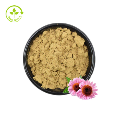 Chiết xuất Echinacea / Chiết xuất Echinacea Purpurea với số lượng lớn / Chiết xuất Echinacea 4% Polyphenol
