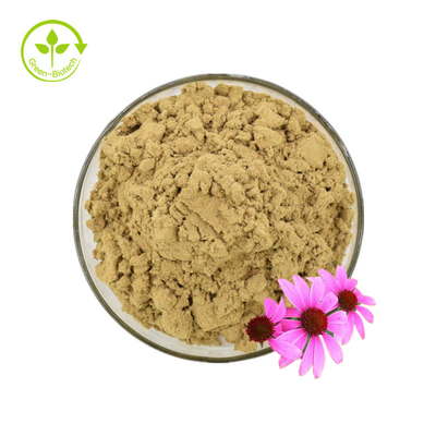 Giấy chứng nhận Iso Chiết xuất Echinacea 100% tự nhiên Chiết xuất Echinacea Purpurea 10% Polyphenol