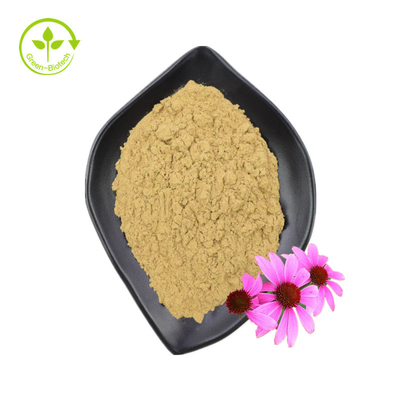 Nhà máy cung cấp chiết xuất Echinacea Purpurea chất lượng cao Chiết xuất Echinacea