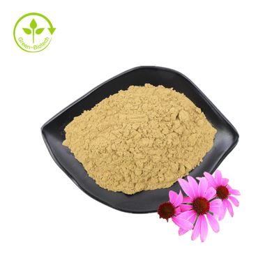 Nhà máy cung cấp chiết xuất Echinacea Purpurea chất lượng cao Chiết xuất Echinacea