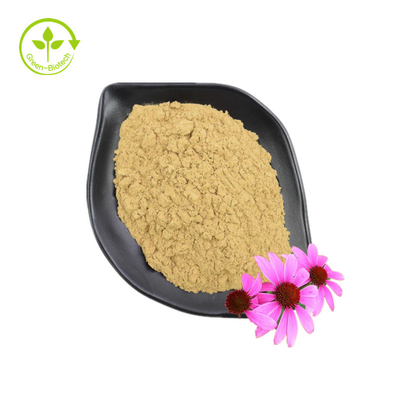 Cung cấp Chiết xuất Echinacea Purpurea loại tốt Bổ sung chăm sóc sức khỏe Chiết xuất Echinacea Purpurea