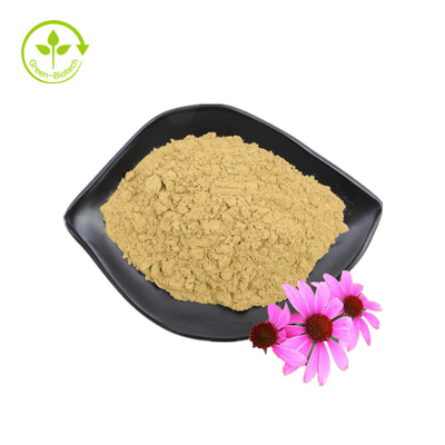 Cung cấp sỉ 3% Axit Chicoric Chiết xuất hoa Echinacea Purpurea Chiết xuất Echinacea Purpurea
