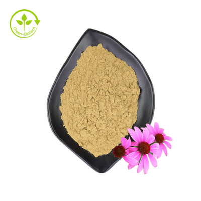 Cung cấp sỉ 3% Axit Chicoric Chiết xuất hoa Echinacea Purpurea Chiết xuất Echinacea Purpurea