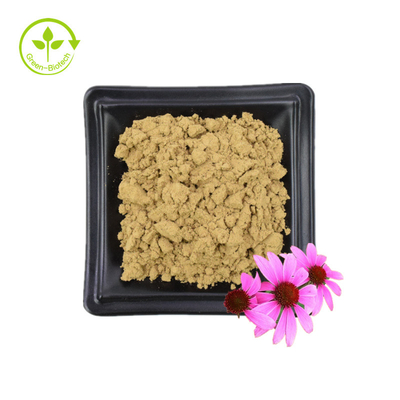 Cung cấp số lượng lớn Chiết xuất Echinacea Purpurea 4% Polyphenol 2% Axit Chicoric