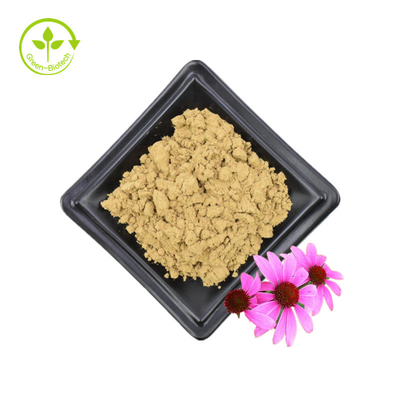 Cung cấp số lượng lớn Chiết xuất Echinacea Purpurea 4% Polyphenol 2% Axit Chicoric