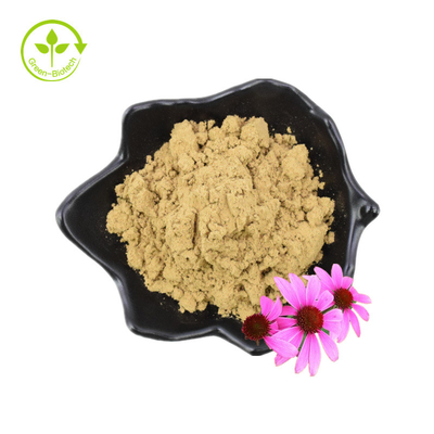 Tinh khiết 4% Axit Chicoric Chiết xuất hoa Echinacea Purpurea Bột chiết xuất Echinacea Purpurea