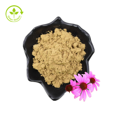 Tinh khiết 4% Axit Chicoric Chiết xuất hoa Echinacea Purpurea Bột chiết xuất Echinacea Purpurea