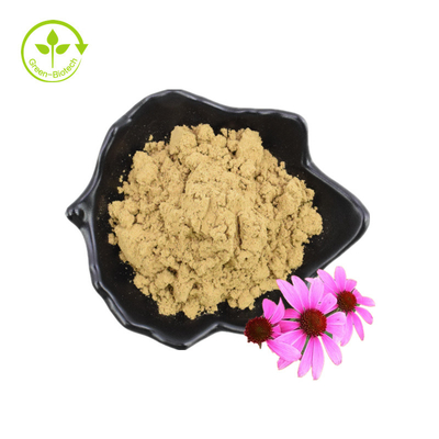 Hữu cơ Polyphenol bột khô Hạt giống hoa Chiết xuất Echinacea Purpurea