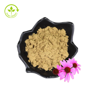 Chiết xuất Echinacea Chiết xuất rễ Purpurea Chiết xuất Echinacea Angustifolia