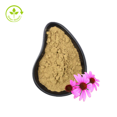 Echinacea Purpurea chiết xuất bột tinh khiết Organic Echinacea chiết xuất polyphenols 4%