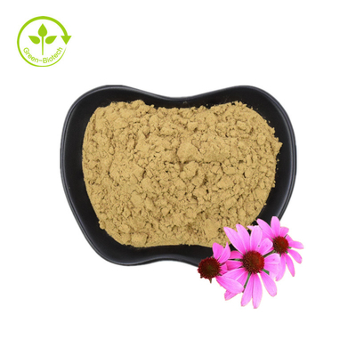 Echinacea Purpurea chiết xuất bột tinh khiết Organic Echinacea chiết xuất polyphenols 4%