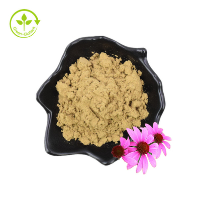 Echinacea Purpurea chiết xuất Echinacea chiết xuất 4% axit chicoric