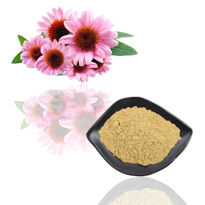 Bột chiết xuất thực vật cấp thực phẩm Chiết xuất hoa Echinacea Purpurea