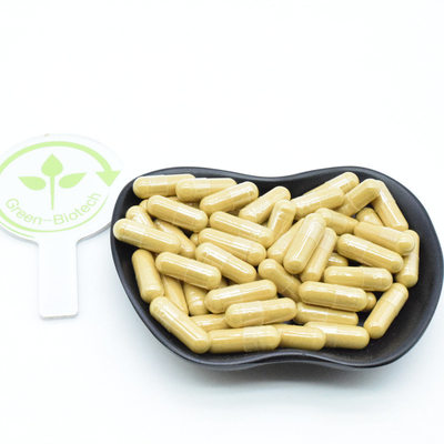 Natural Panax Siberian Korean Red Ginseng Extract 10% 20% 80% Ginsenosides bột