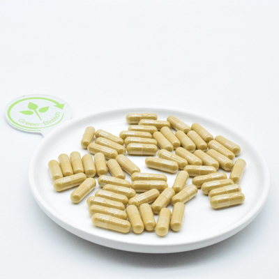 Đảo Changbai núi Panax Ginseng rễ thuốc Ginseng tươi