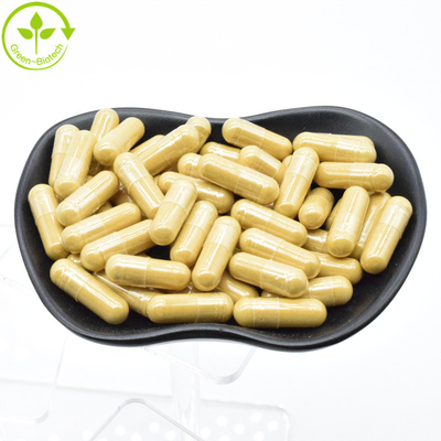 Nhà máy cung cấp Ginseng gốc bột Panax Ginseng chiết xuất 20:1 Ginsenoside 80%