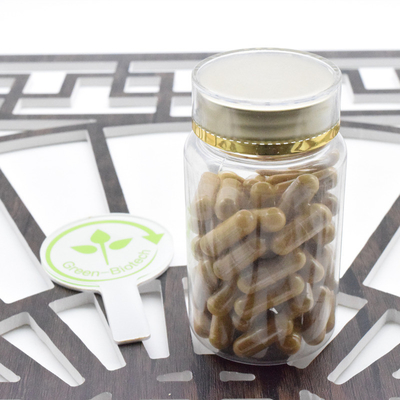 Bổ sung chăm sóc sức khỏe Panax Ginseng tinh khiết bột Panax Ginseng chiết xuất 5%-80% Ginsenoside