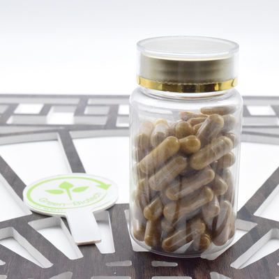 Nhà máy cung cấp Ginseng gốc bột Panax Ginseng chiết xuất 20:1 Ginsenoside 80%