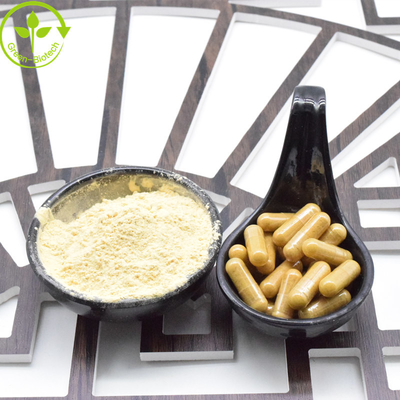 Đồ bán buôn cao cấp giá thấp Panax Ginseng gốc Đỏ Ginseng