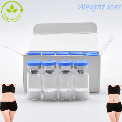 CAS 910463-68-2 Semaglutide để giảm cân 10mg/Vails